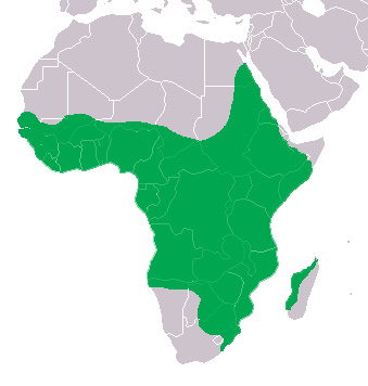 Photo: Crocodile du nil - occurrence