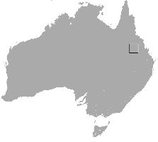 Photo: Wombat à nez poilu du nord - occurrence